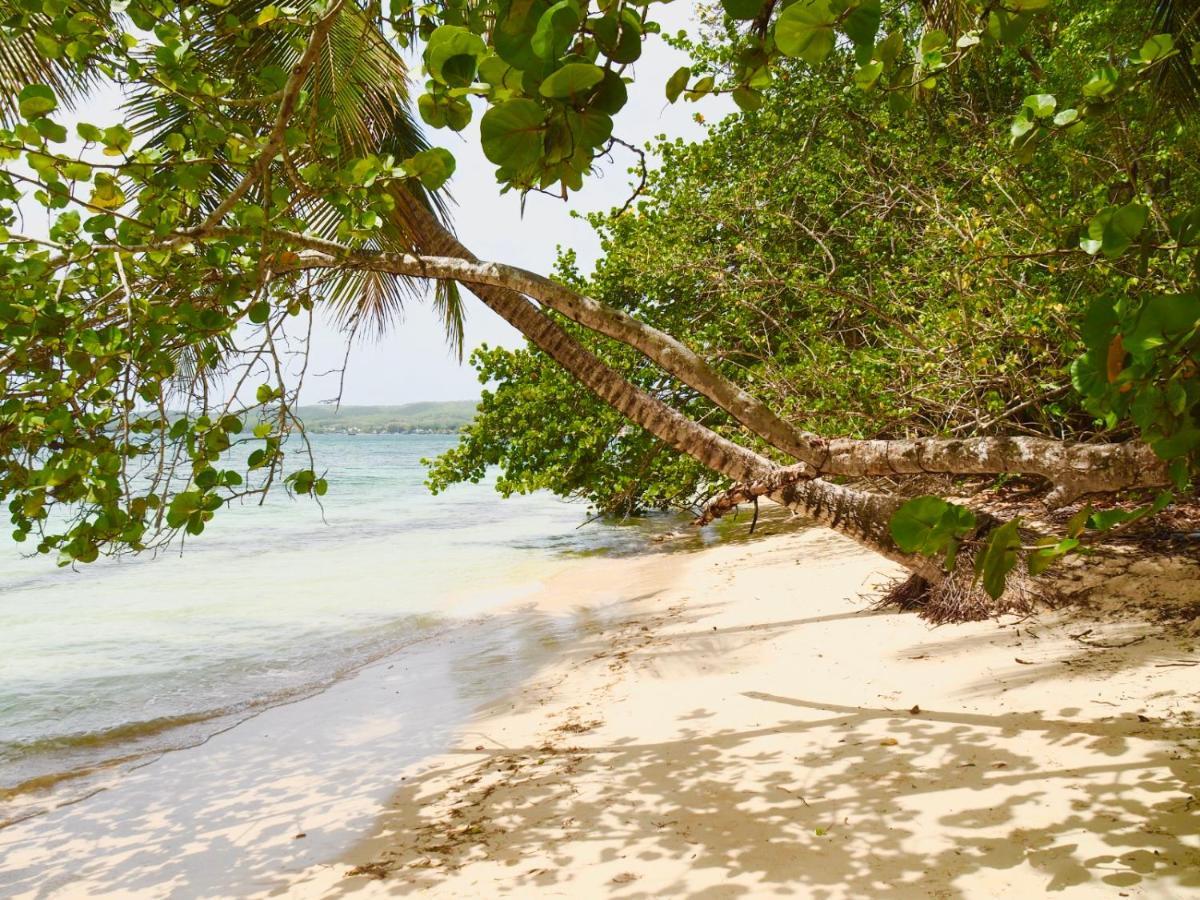 L Oralya - Blue Dream, Plage, Piscine, Restaurant Grand-Bourg (Marie Galante) Exterior photo