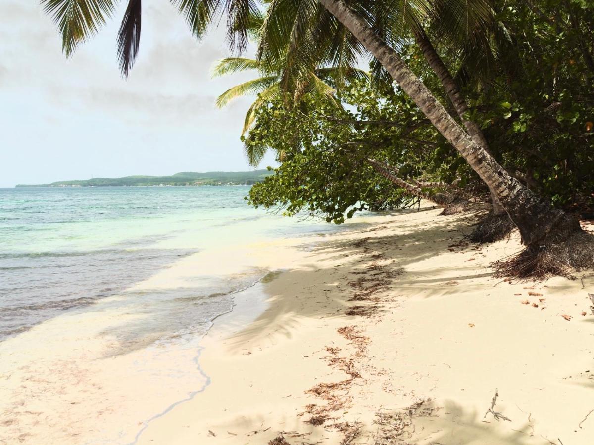 L Oralya - Blue Dream, Plage, Piscine, Restaurant Grand-Bourg (Marie Galante) Exterior photo